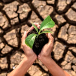 Allianz Green Transition Tracker: ainda não (totalmente) condenado