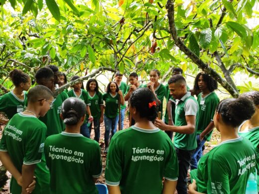 BB Seguros reforça apoio a projetos incentivados de cultura