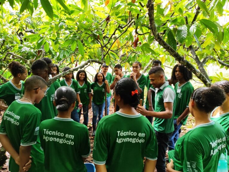 BB Seguros reforça apoio a projetos incentivados de cultura