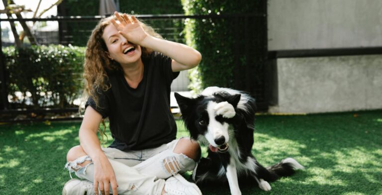 Plano de saúde pet vira novo benefício corporativo