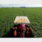 Nova lei do seguro rural amplia proteção ao produtor