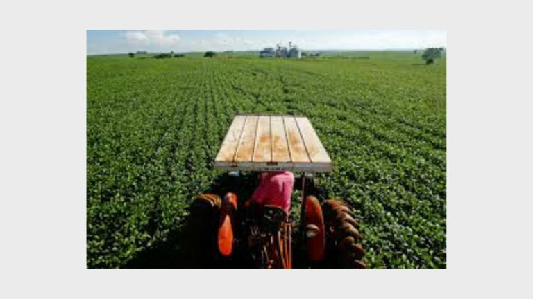 Nova lei do seguro rural amplia proteção ao produtor