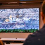 MAG Seguros reserva ilha na Bahia para celebrar o Galo de Ouro 2026