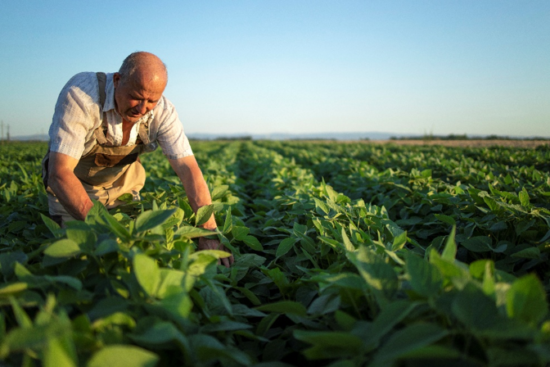 Novo marco do seguro rural pode destravar crédito e acelerar a retomada do agronegócio